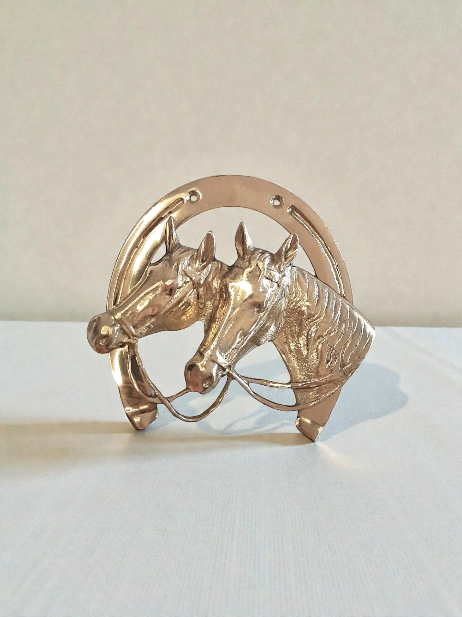 Cast Brass Horseshoe Wall Decor