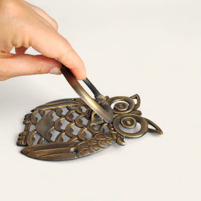 Gold Brass Owl Door Knocker – Handcrafted Unique Design