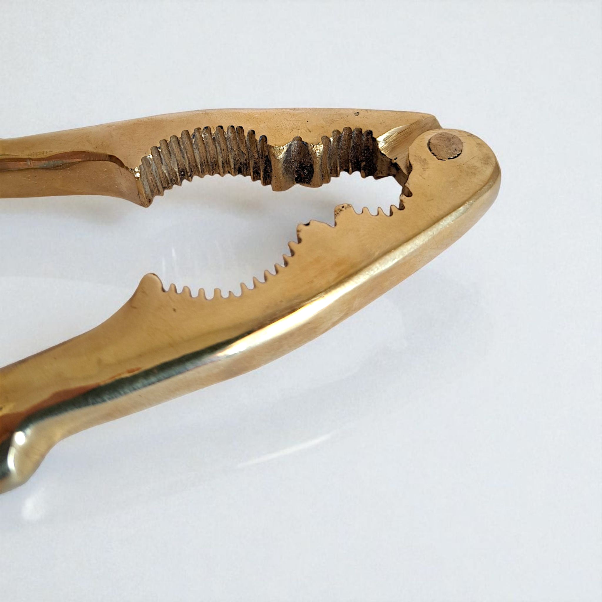 Solid Brass Nutcracker Gold, 16cm Anatolian Decor Piece