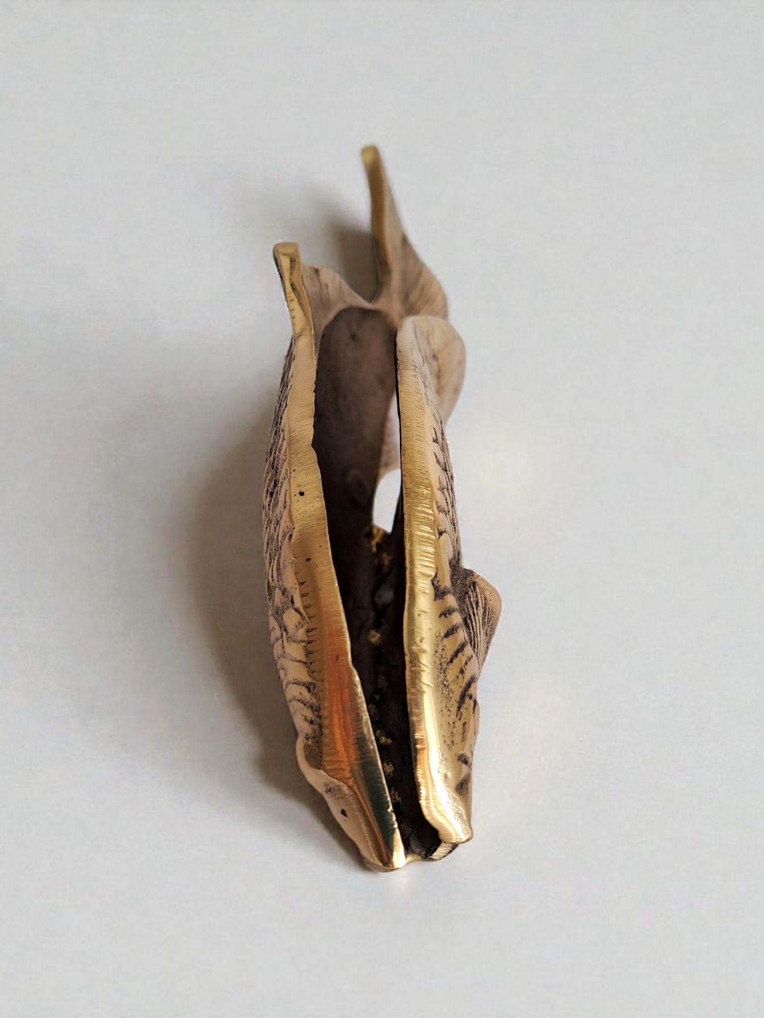 Decorative shell with intricate patterns on a light gray background