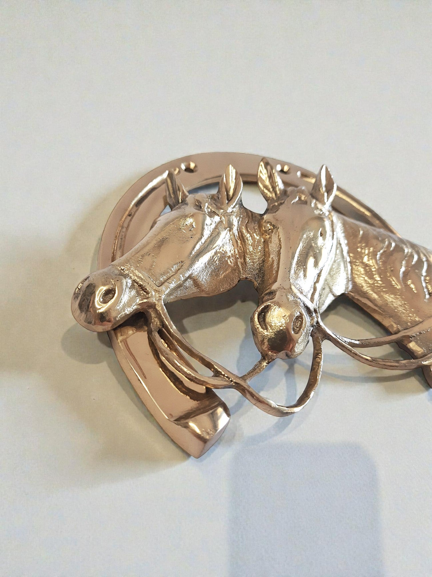 Cast Brass Horseshoe Wall Decor