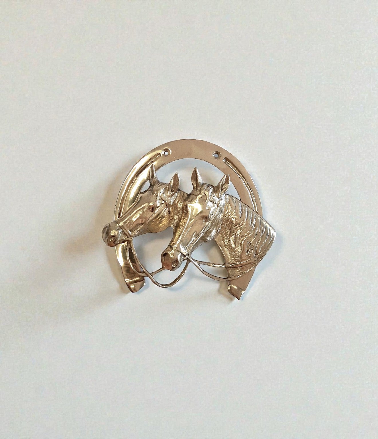 Cast Brass Horseshoe Wall Decor