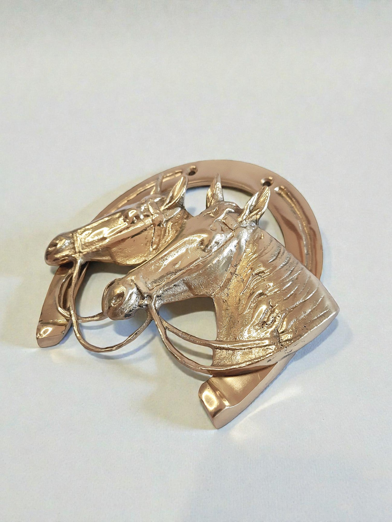 Cast Brass Horseshoe Wall Decor