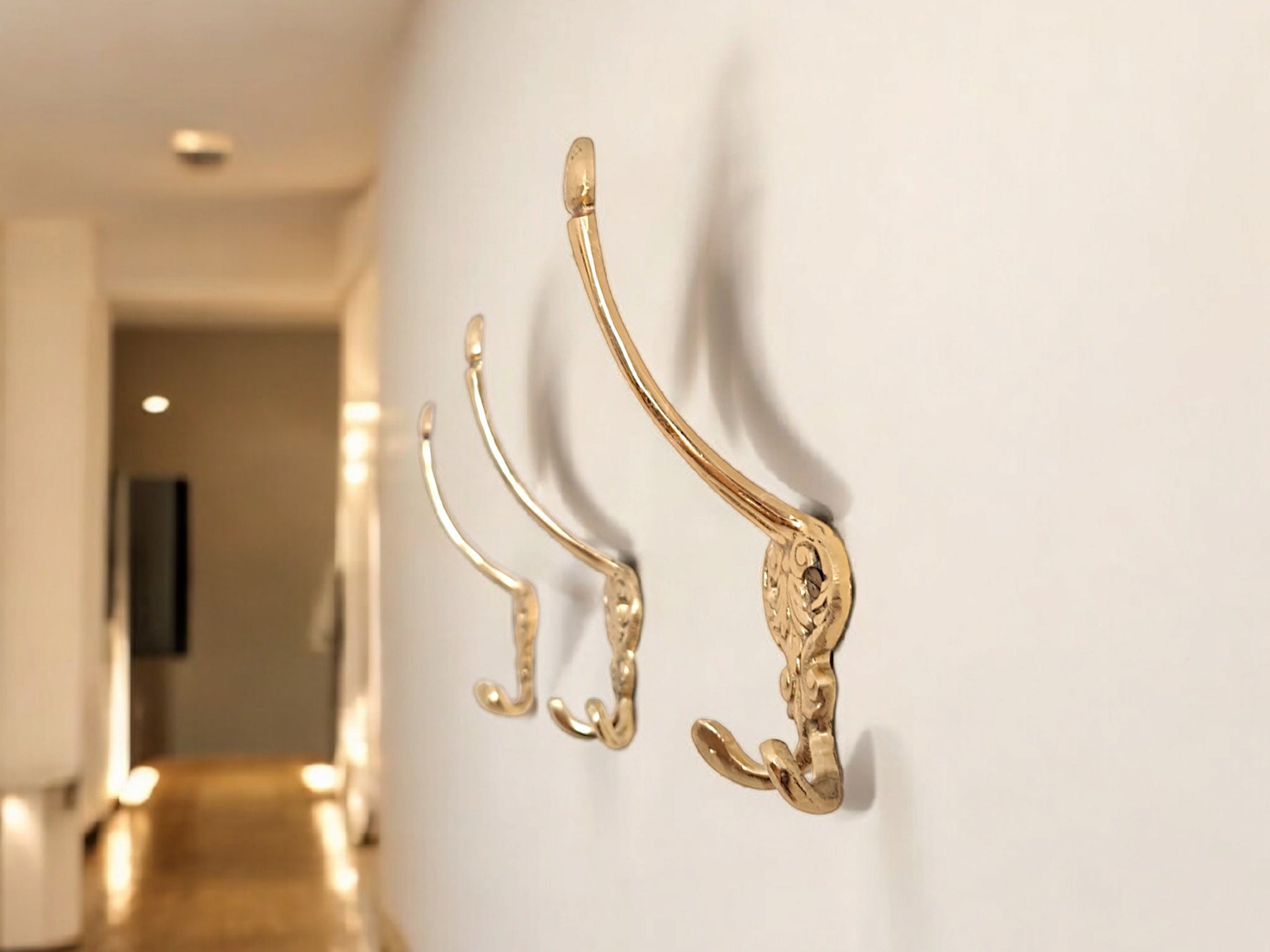 Gold decorative hooks on a white wall in a hallway